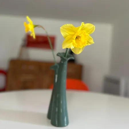 La Maison Du Jardin Holiday home Douai